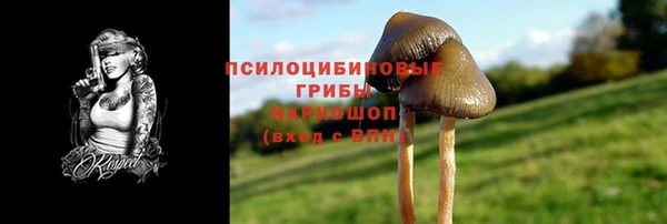 дмт Нязепетровск